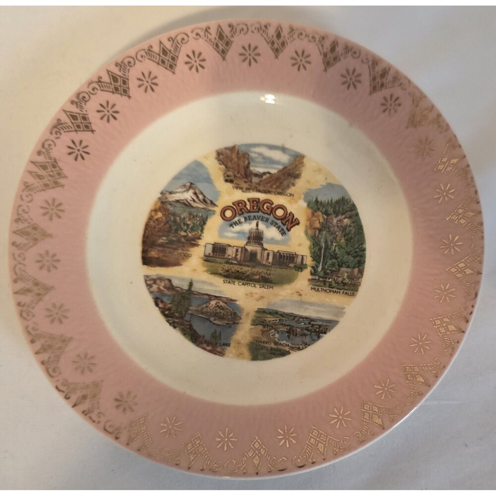 Vintage Oregon Souvenir State Plate Landmarks Pink Rim with Gold Filigree